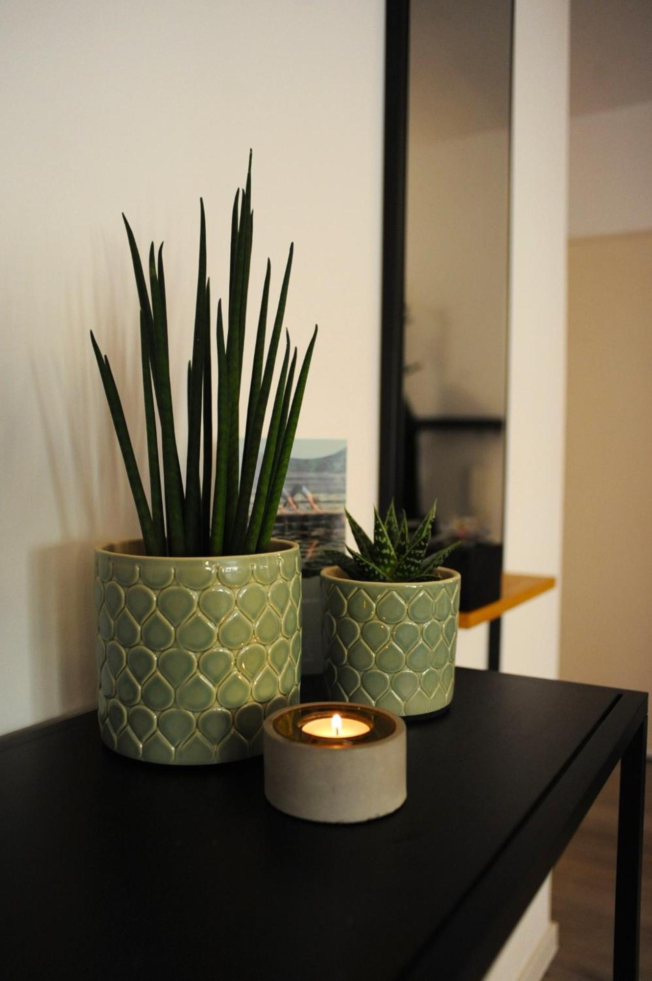Deluxe-Apartment Altstadt Ettlingen Eksteriør billede