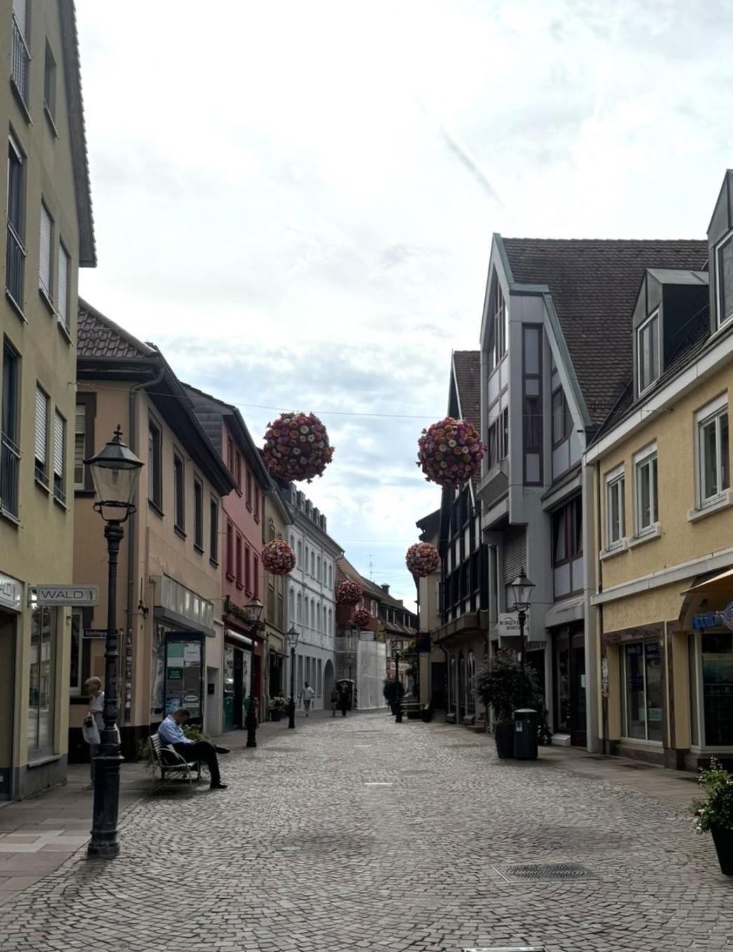 Deluxe-Apartment Altstadt Ettlingen Eksteriør billede